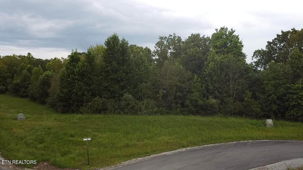 563 Summer Circle - Photo 1