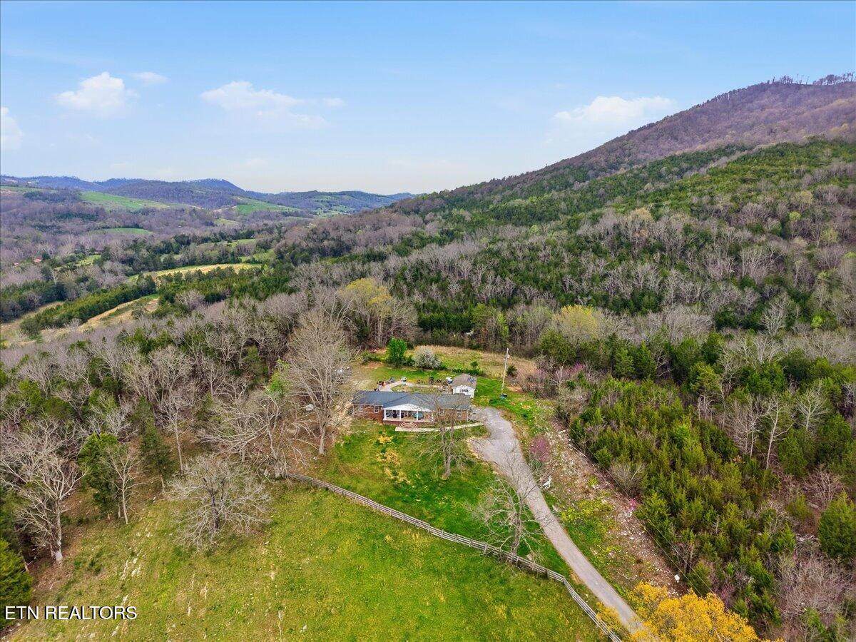 365 Young Lane - Photo 1