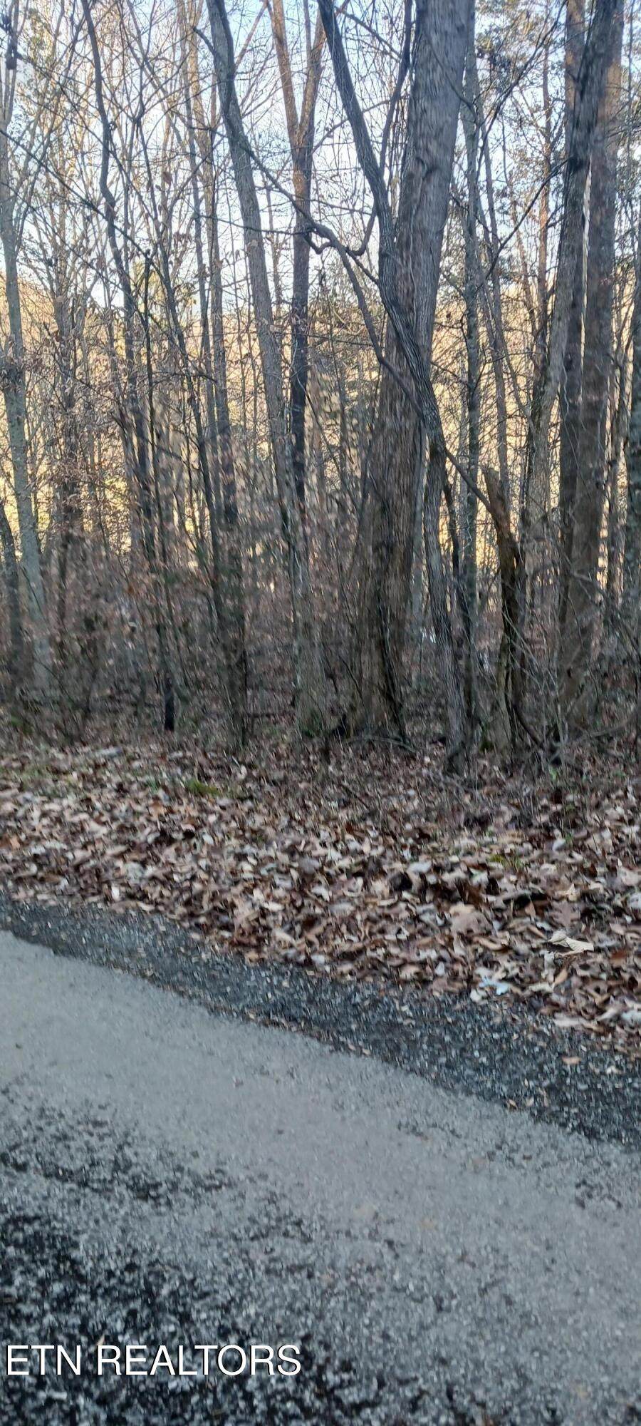  Braden Chapel Rd - Photo 1