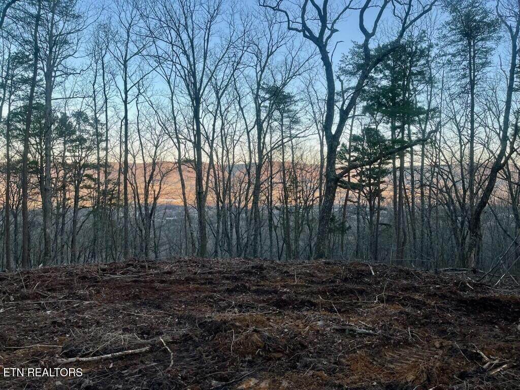  Old Spencer Road - 198 Acres - Photo 1