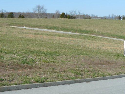 Lot 47 Dudley Lane - Photo 1