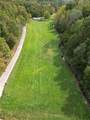 3101 Buff Creek Road - Photo 48