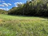 3101 Buff Creek Road - Photo 5