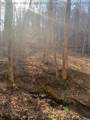 TBD Buckeye Creek Road - Photo 12