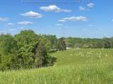 Rt 62 Ripley Road - Photo 5