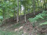 3254 Three Lick Road - Photo 40