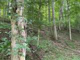 3254 Three Lick Road - Photo 41