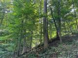 3254 Three Lick Road - Photo 45