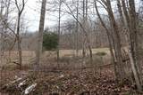 0 Appaloosa Run Road - Photo 4