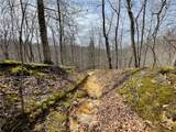 0 Wade Adkins Branch Road - Photo 10