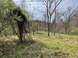 0 Wade Adkins Branch Road - Photo 14