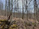 0 Wade Adkins Branch Road - Photo 7