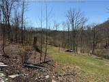 464 Butcher Hollow Road - Photo 6