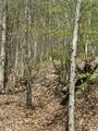 Lot #2 Sugartree Road - Photo 4