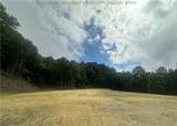 TBD Mountaineer Drive - Photo 11