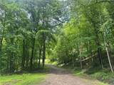 TBD Mountaineer Drive - Photo 6