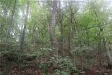 0 Off Rt 16 Road - Photo 20
