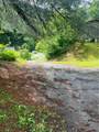 395 Left Fork Bens Creek Road - Photo 20