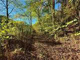 0 Harmons Creek Road - Photo 12