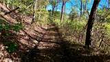 0 Harmons Creek Road - Photo 3