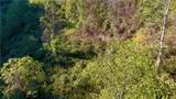 0 Harmons Creek Road - Photo 5