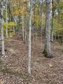 0 Stone Lick Road - Photo 4