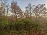 501 Mallard Lane - Photo 29