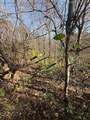 262 Plantation Road - Photo 14
