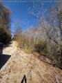 262 Plantation Road - Photo 18