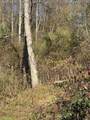 262 Plantation Road - Photo 6