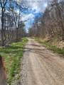 91 Hawk Ridge Road - Photo 15