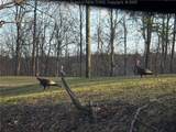 91 Hawk Ridge Road - Photo 6