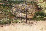 0 Hartley Run - Photo 37