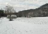 1849 Sandy Creek Road - Photo 9