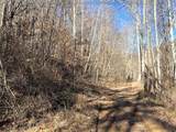 0 Two Mile Creek Road - Photo 4