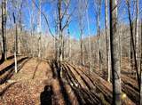 0 Two Mile Creek Road - Photo 8