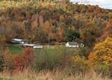 621 Seamans Fork Road - Photo 39