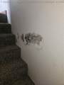 3213 Jackson Avenue - Photo 18