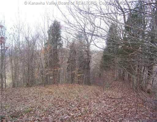 3 Deerfield Estates - Photo 1