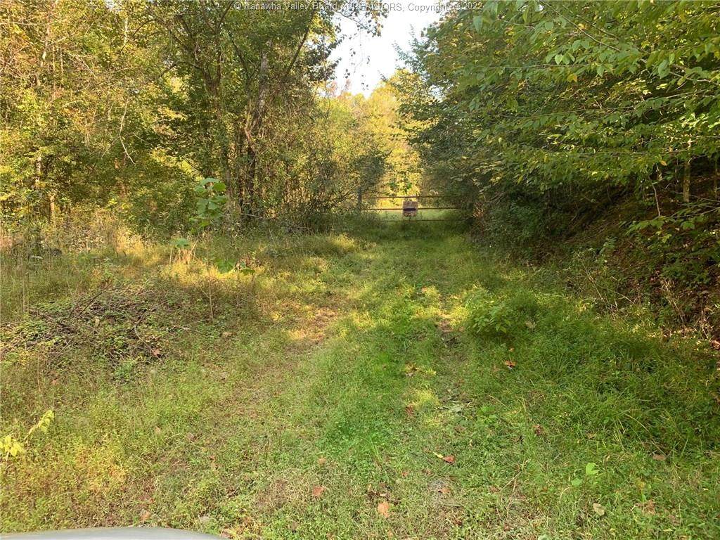 0 Coal River Road - Photo 1