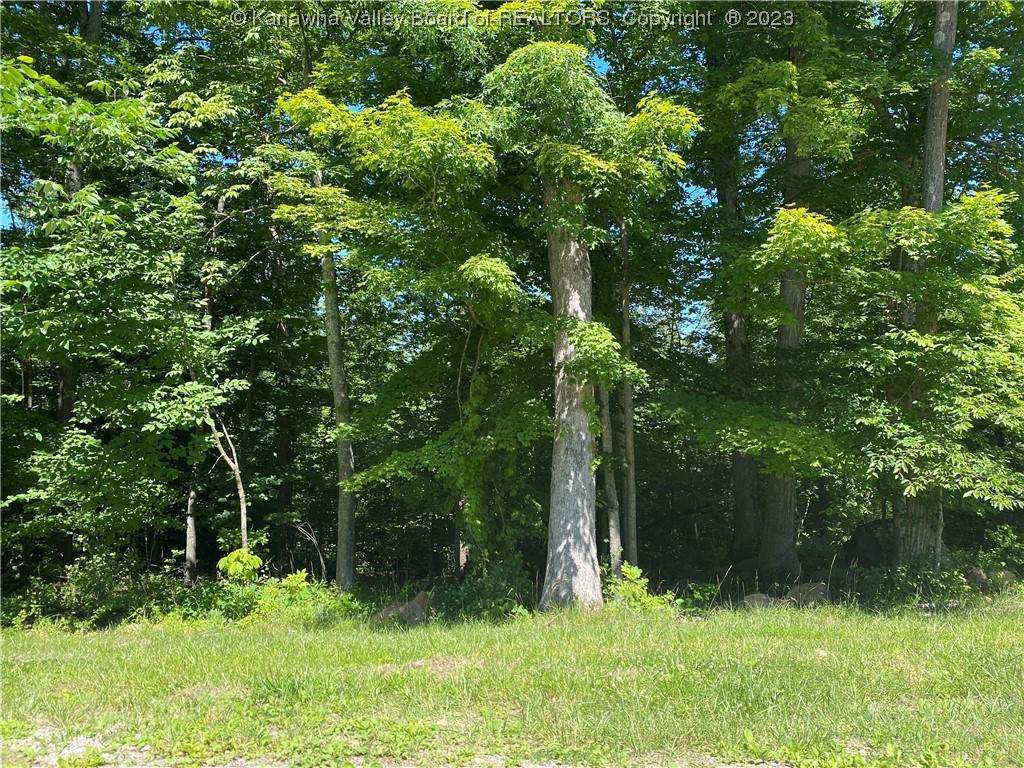 20 Double Eagle Drive - Photo 1