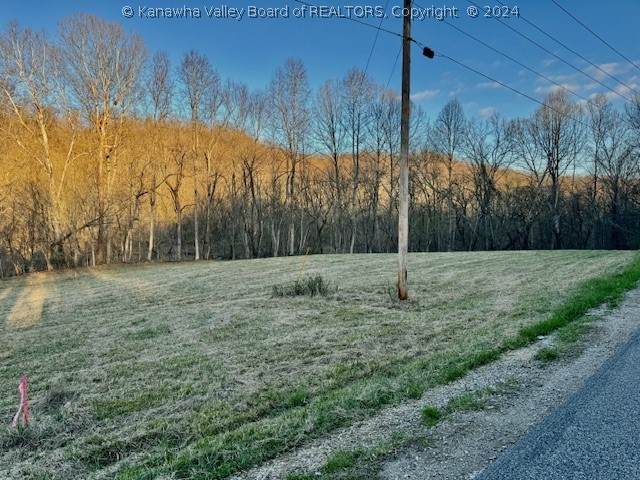 Parcel G Roach Road - Photo 1