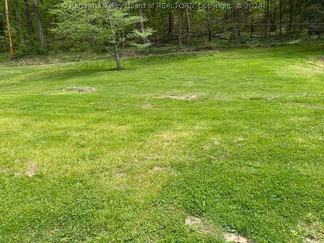 0 Waterford (Lot 1) Lane - Photo 1