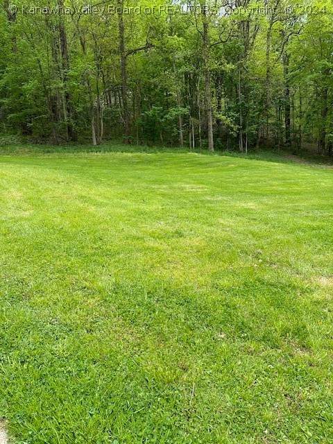 0 Waterford (Lot 3) Lane - Photo 1