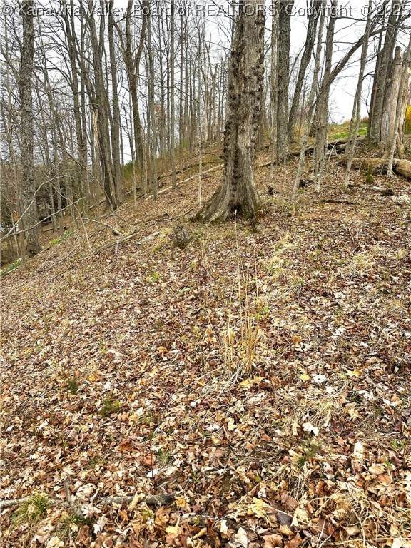 38 Coventry Ridge Road - Photo 1