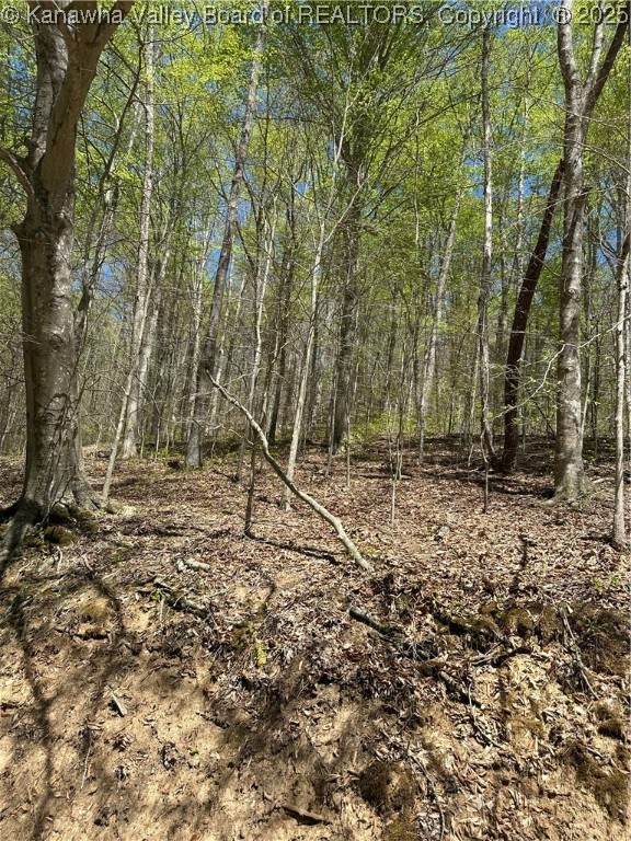 Lot #2 Sugartree Road - Photo 1