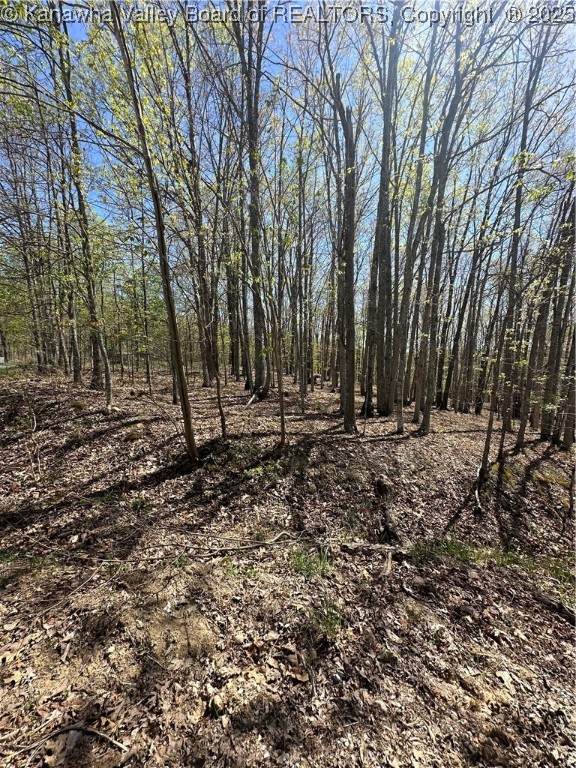 Lot 5 Lucky Lane - Photo 1