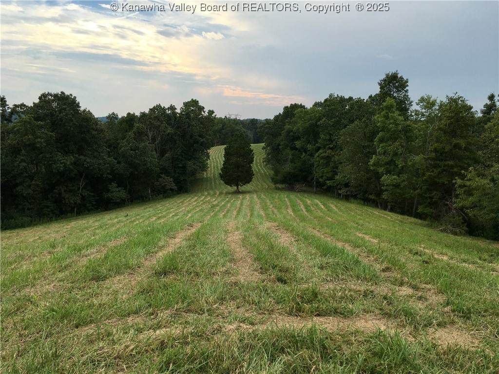 728 Honeycutt Road - Photo 1