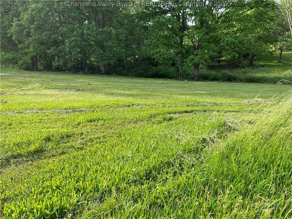535 Maplewood Heights Drive - Photo 1