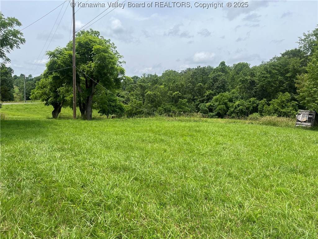 492 Lone Oak Road - Photo 1